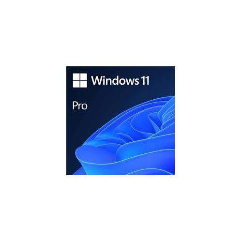 Microsoft Windows 11 Pro Esd Fqc 10572 Pelikan Bilgisayar 3043