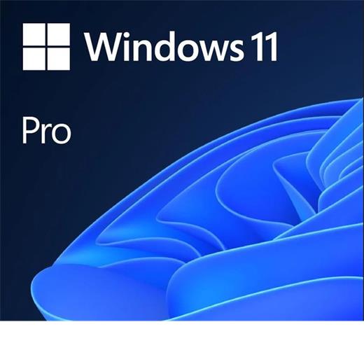 MS WINDOWS 11 PRO TR KUTU HAV-00159