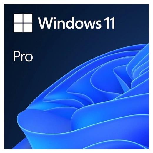 MS WINDOWS 11 PRO 64BIT TR OEM FQC-10556